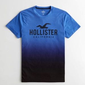 Hollister T shirt